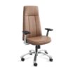 Thrill Executive Cushion -Tan