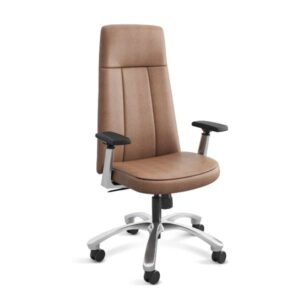 Thrill Executive Cushion -Tan
