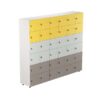 Gain Pro Locker-Multi colour options